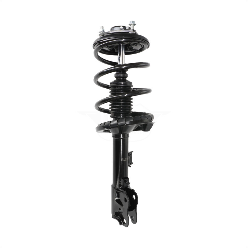 Suspension Strut Coil Spring Assembly