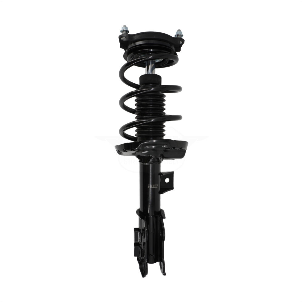 Suspension Strut Coil Spring Assembly