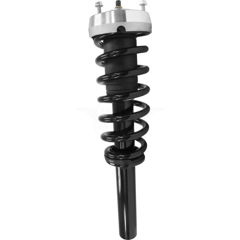 Suspension Strut Coil Spring Assembly
