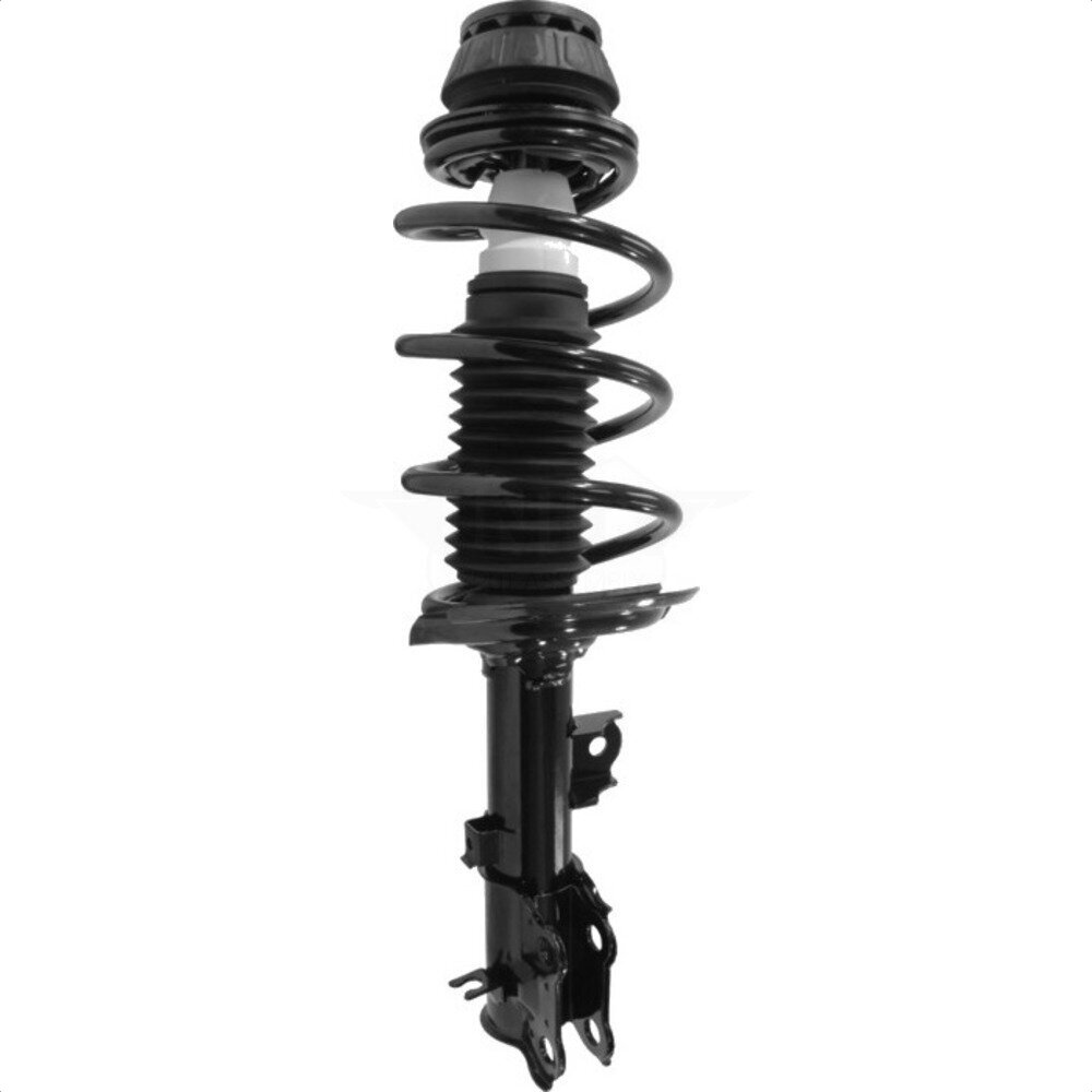 Suspension Strut Coil Spring Assembly