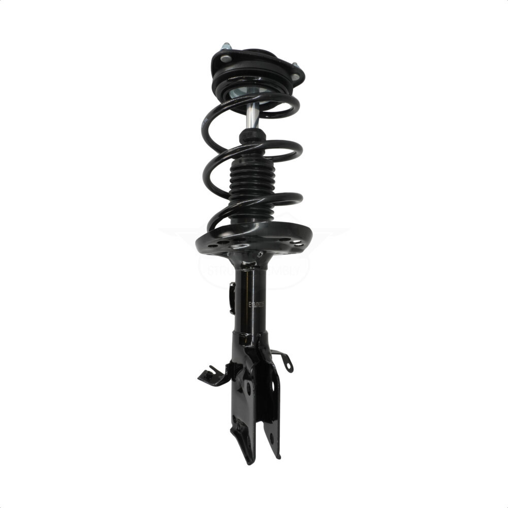 Suspension Strut Coil Spring Assembly