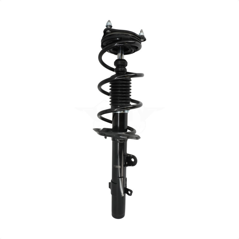 Suspension Strut Coil Spring Assembly