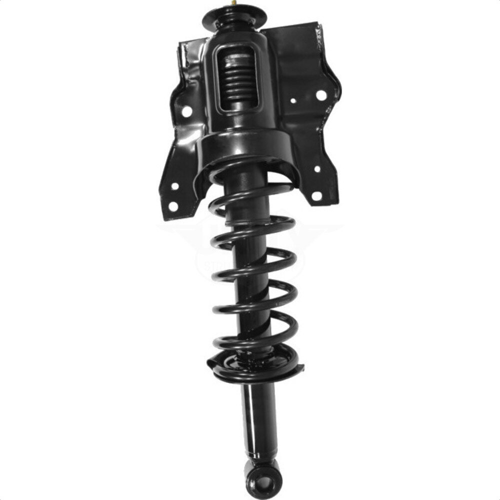 Suspension Strut Coil Spring Assembly