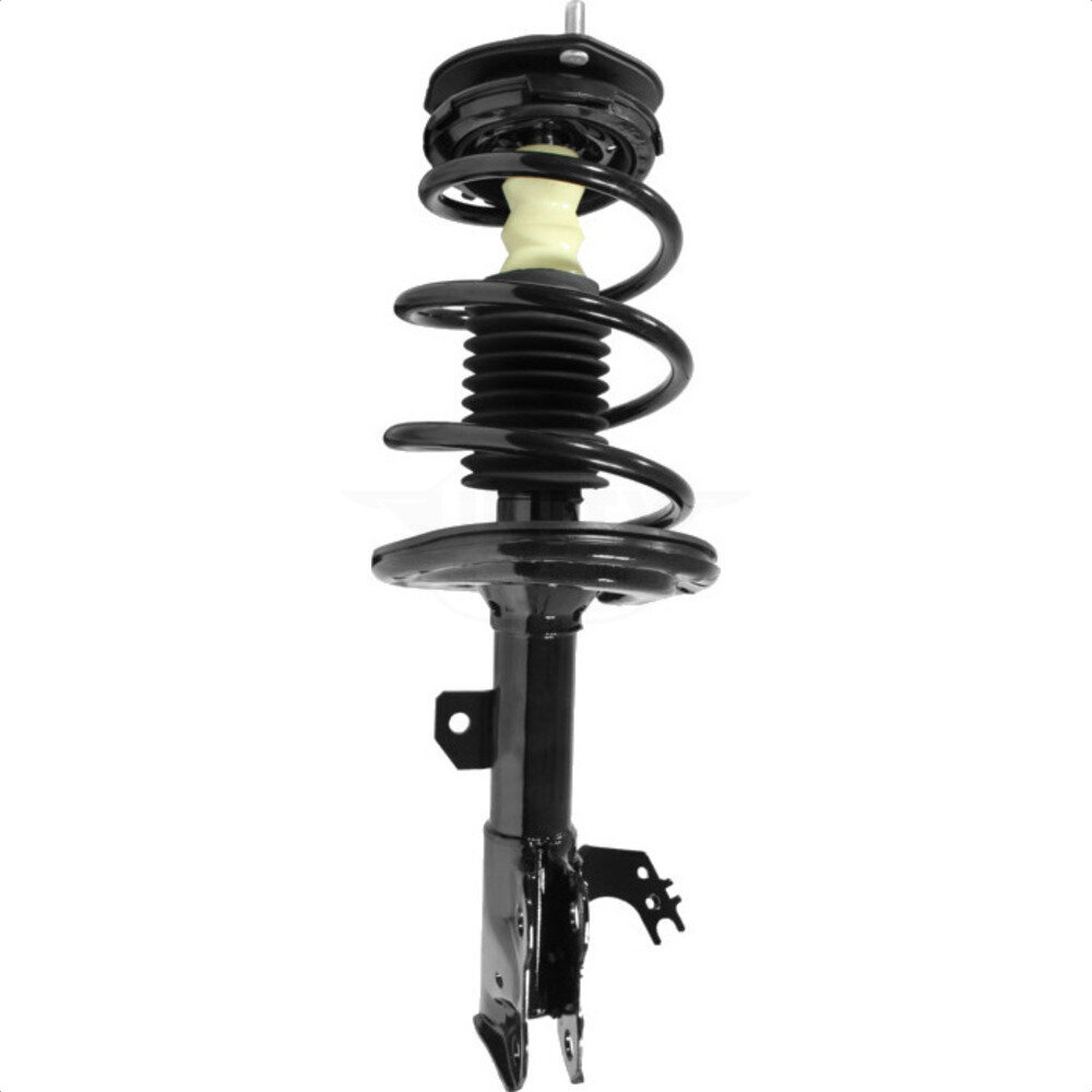Suspension Strut Coil Spring Assembly