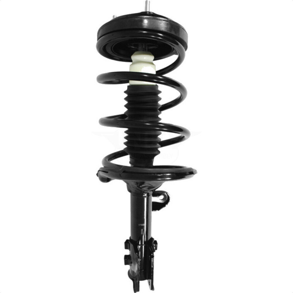 Suspension Strut Coil Spring Assembly
