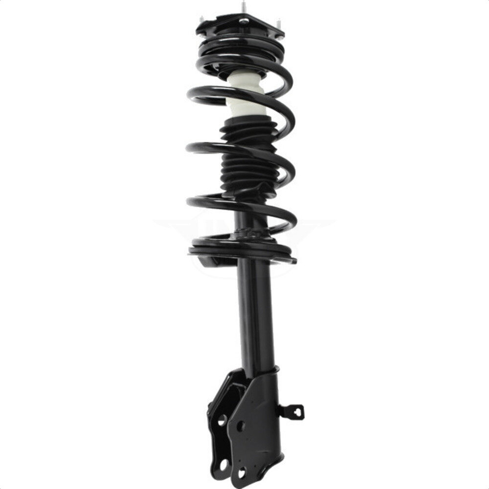 Suspension Strut Coil Spring Assembly