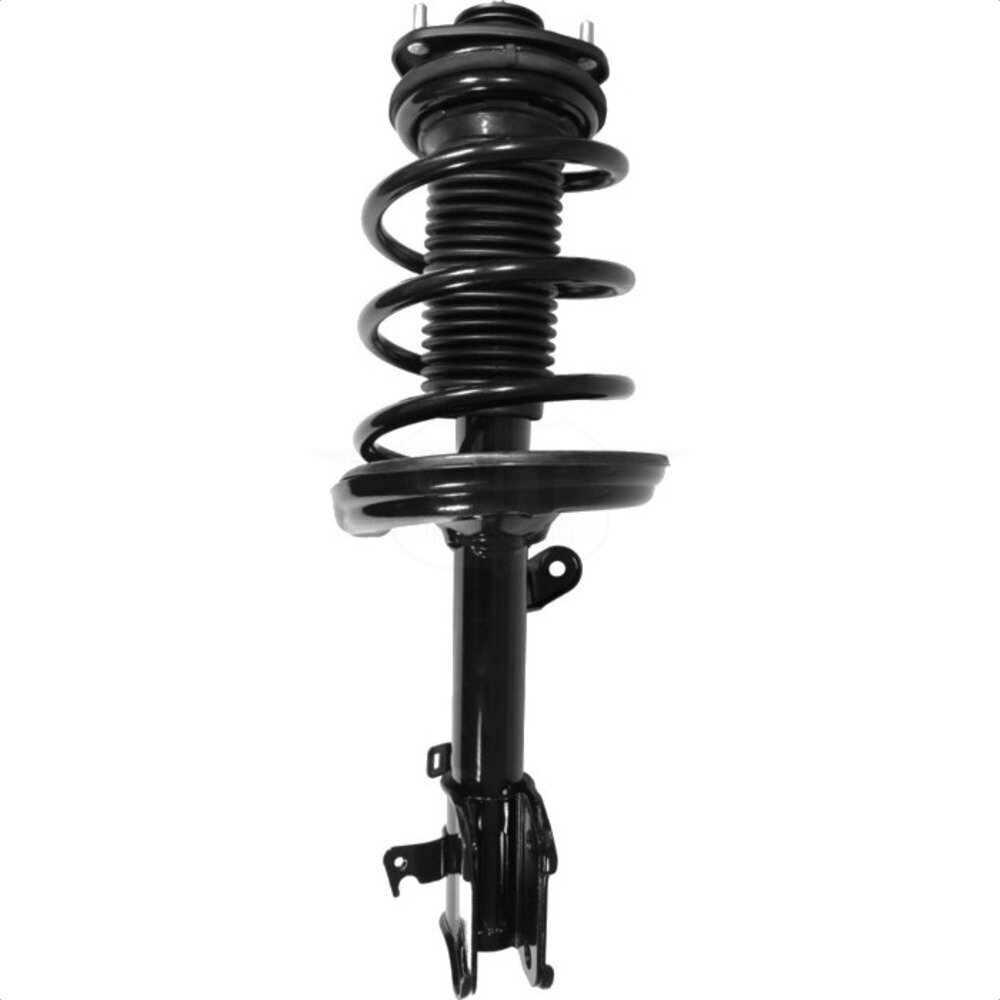 Suspension Strut Coil Spring Assembly