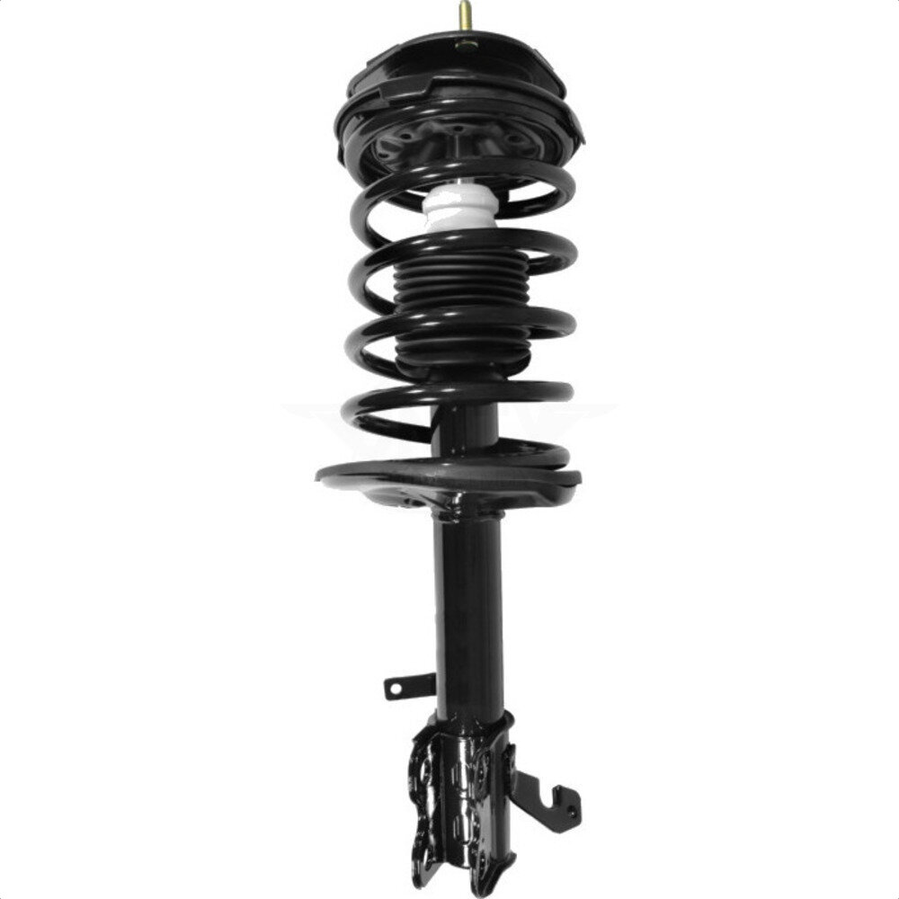 Suspension Strut Coil Spring Assembly