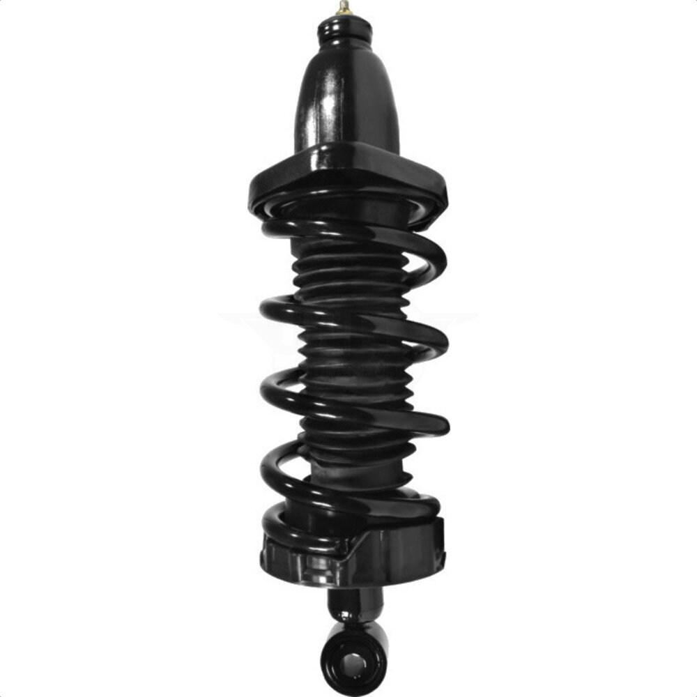Suspension Strut Coil Spring Assembly