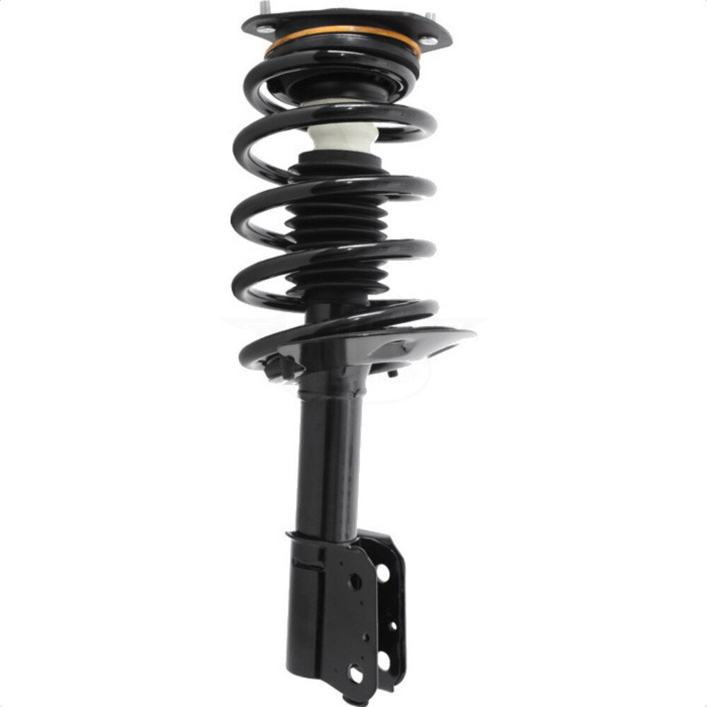 Suspension Strut Coil Spring Assembly
