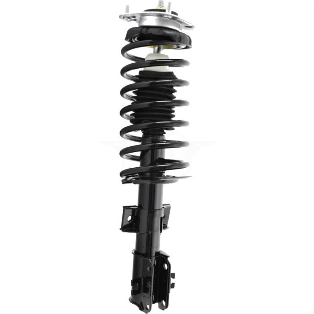 Suspension Strut Coil Spring Assembly