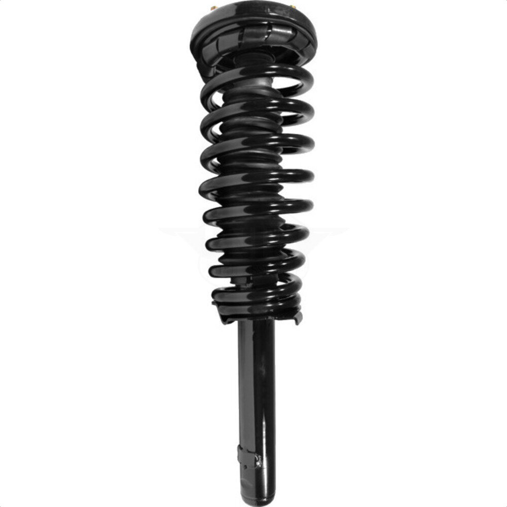 Suspension Strut Coil Spring Assembly