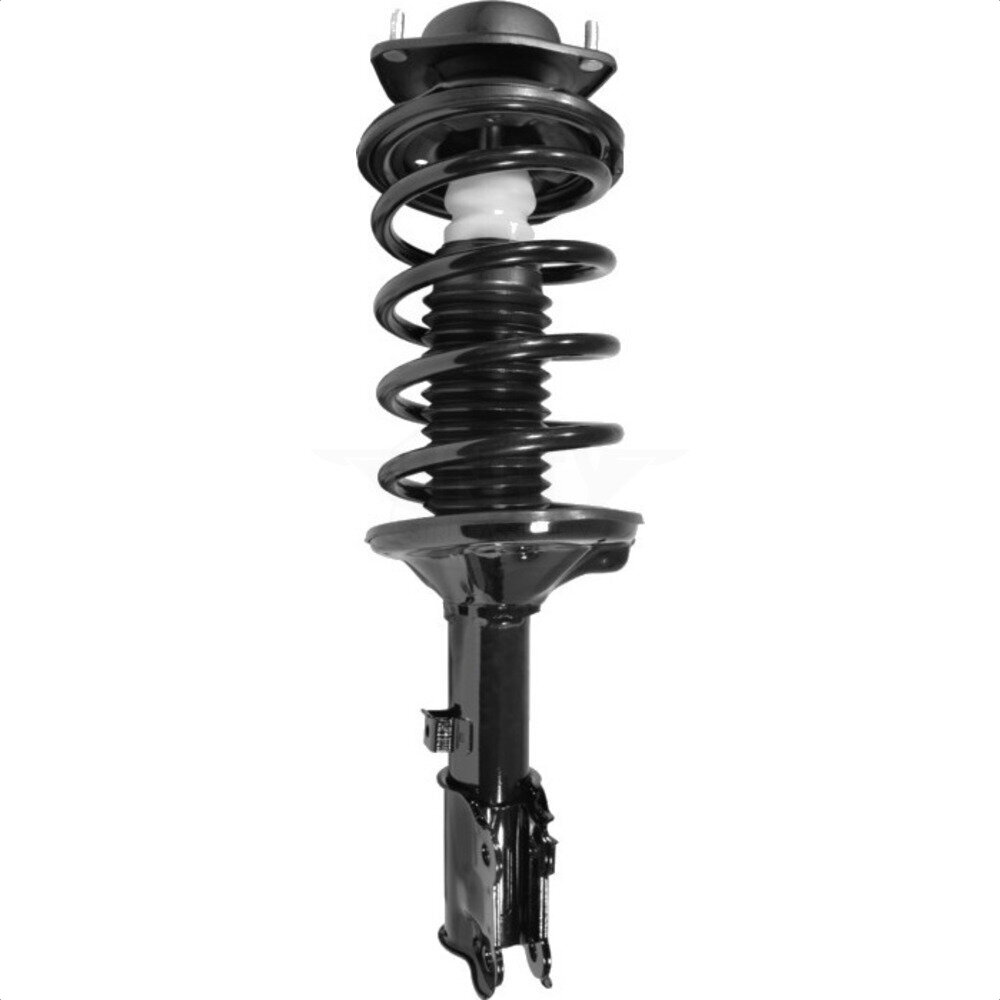 Suspension Strut Coil Spring Assembly