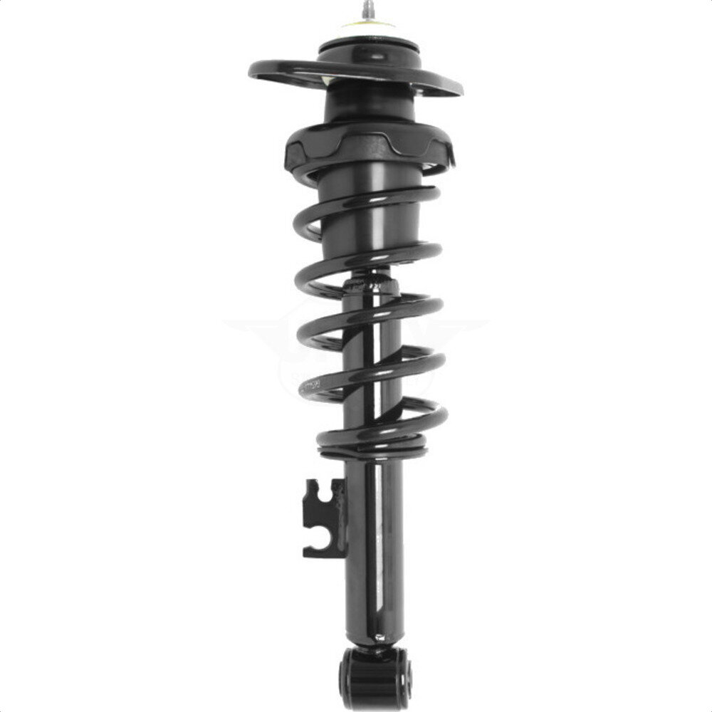 Suspension Strut Coil Spring Assembly