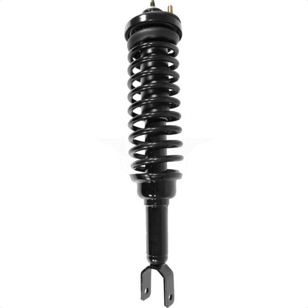 Suspension Strut Coil Spring Assembly