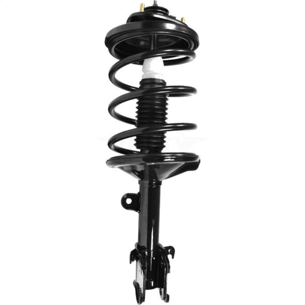 Suspension Strut Coil Spring Assembly