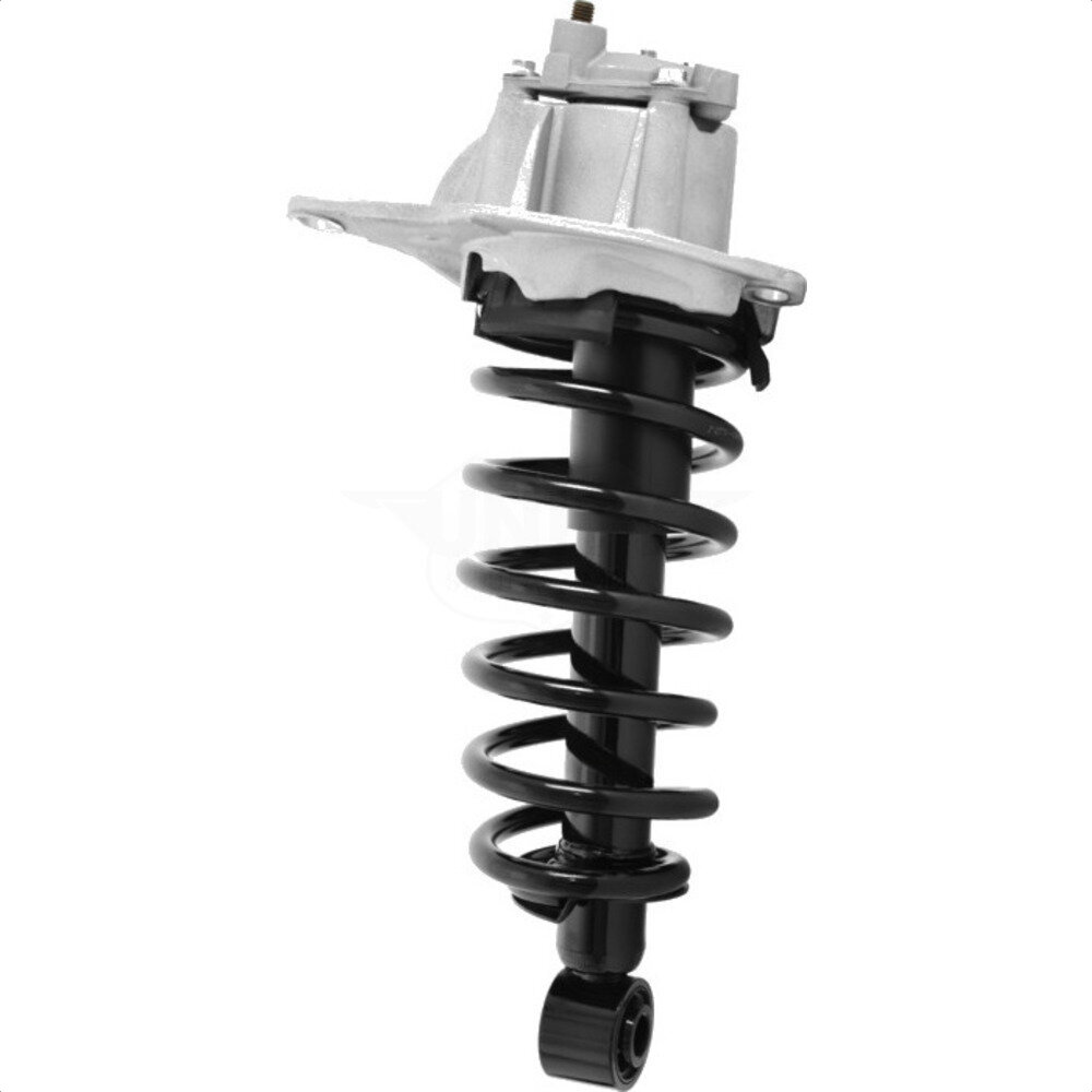 Suspension Strut Coil Spring Assembly