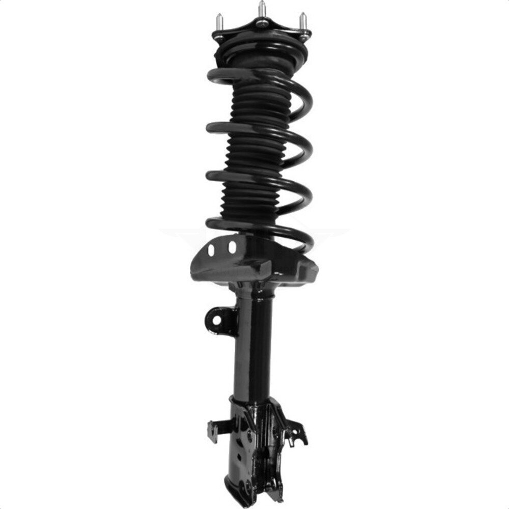 Suspension Strut Coil Spring Assembly