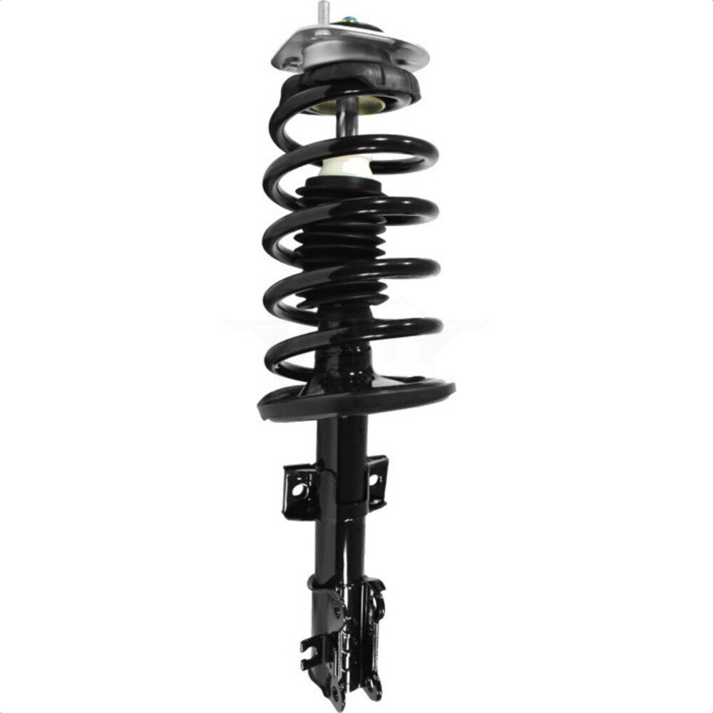 Suspension Strut Coil Spring Assembly
