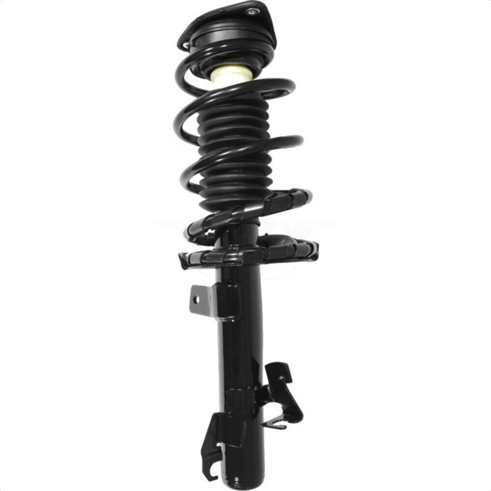 Suspension Strut Coil Spring Assembly