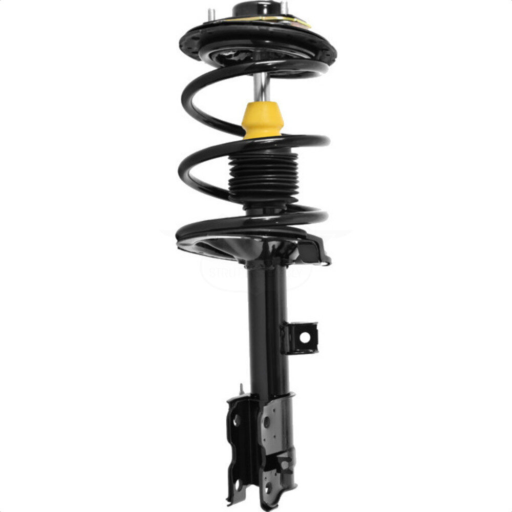 Suspension Strut Coil Spring Assembly