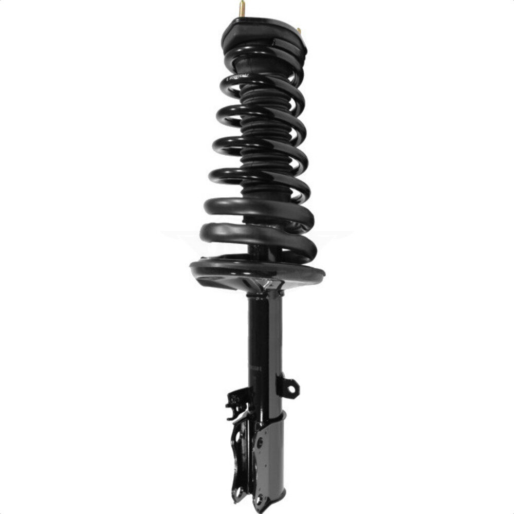 Suspension Strut Coil Spring Assembly