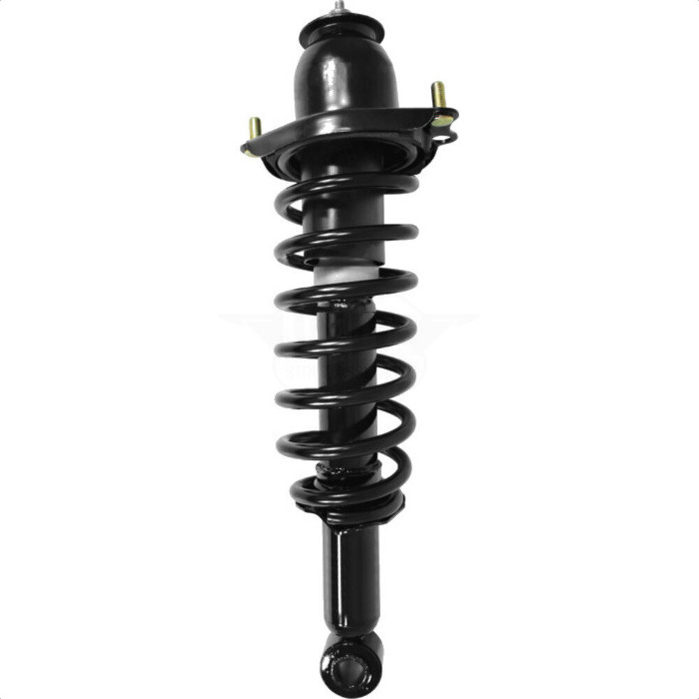 Suspension Strut Coil Spring Assembly