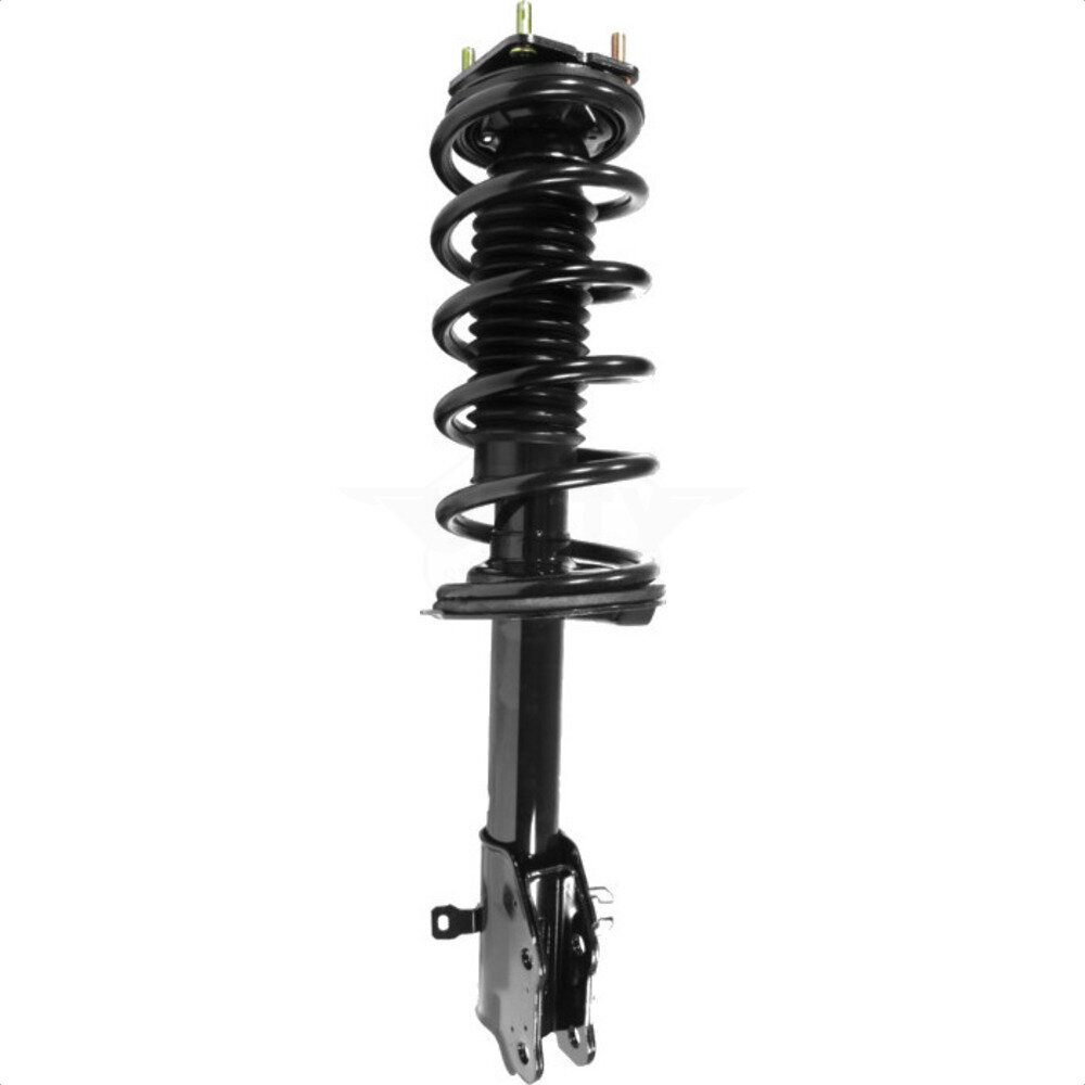 Suspension Strut Coil Spring Assembly
