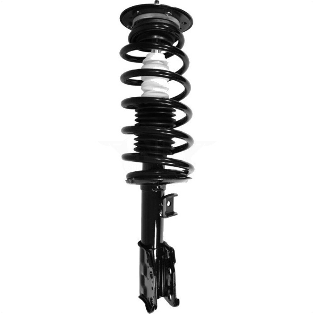 Suspension Strut Coil Spring Assembly