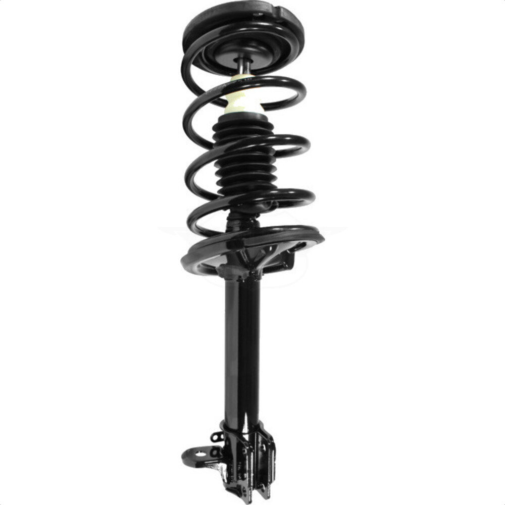 Suspension Strut Coil Spring Assembly