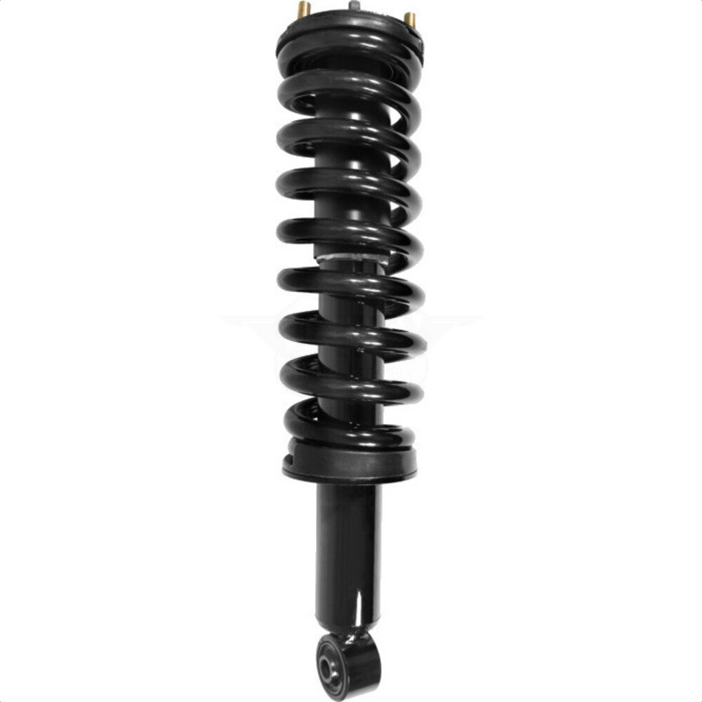 Suspension Strut Coil Spring Assembly