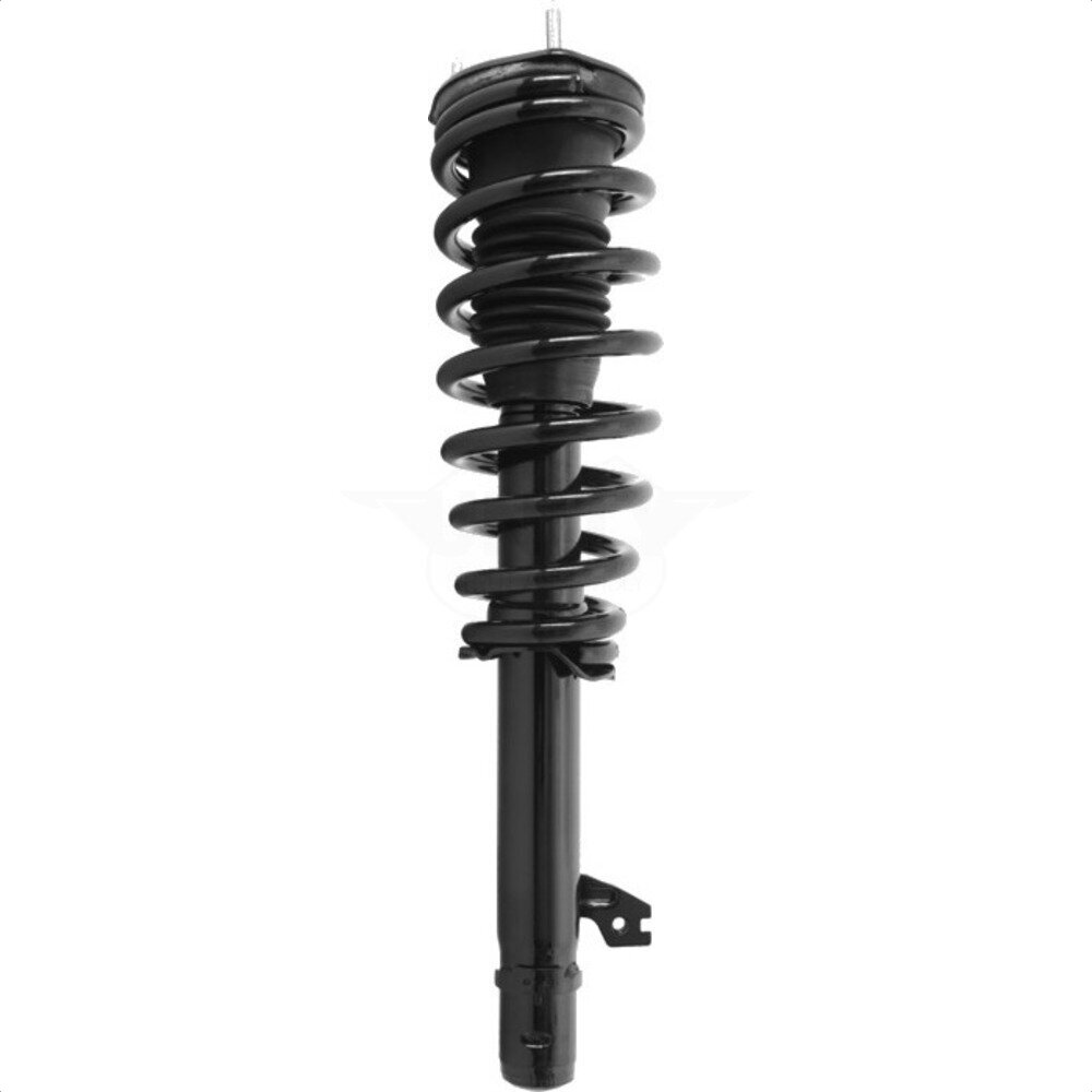 Suspension Strut Coil Spring Assembly