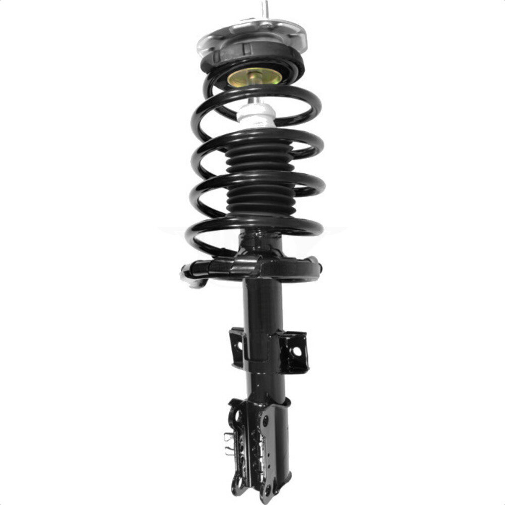 Suspension Strut Coil Spring Assembly