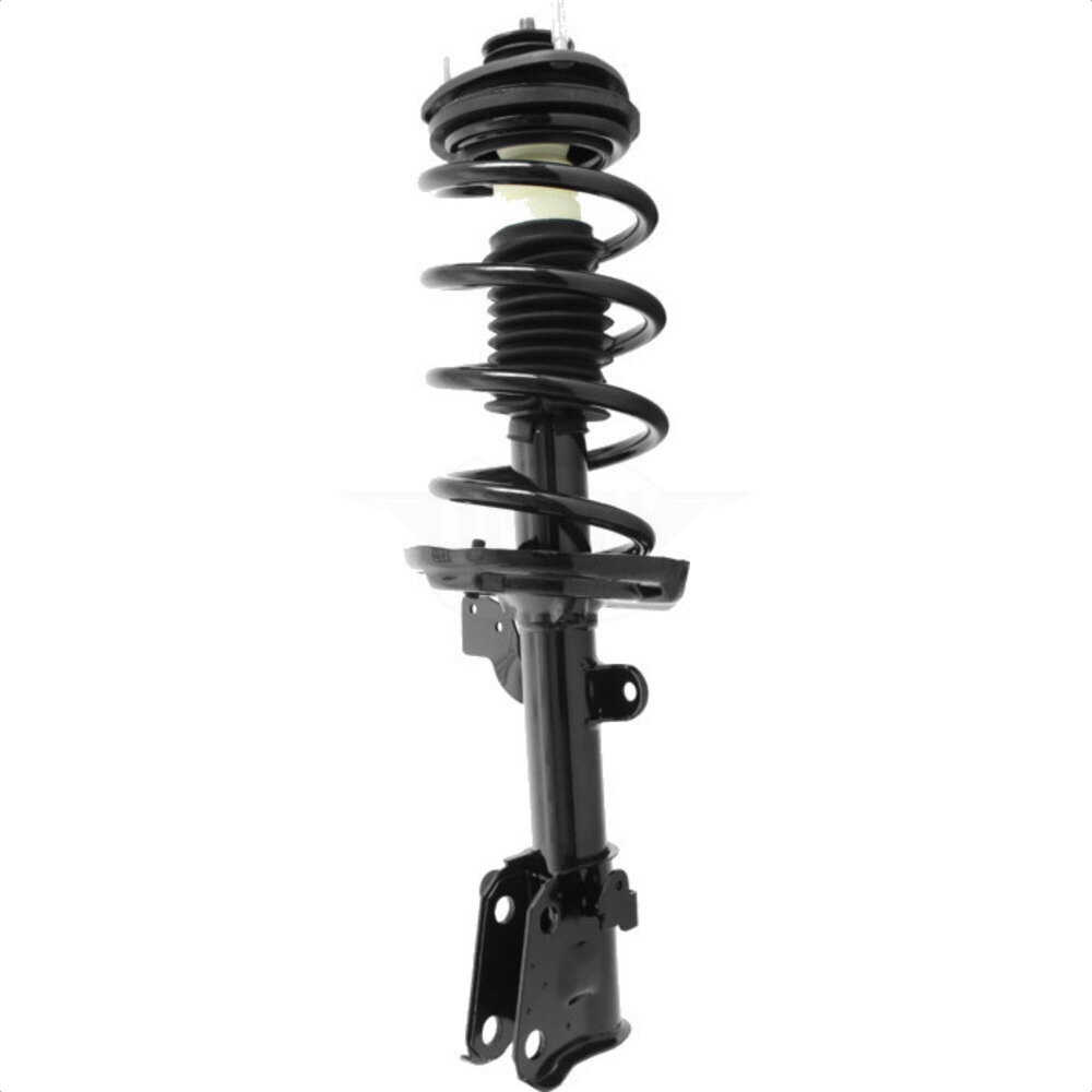 Suspension Strut Coil Spring Assembly