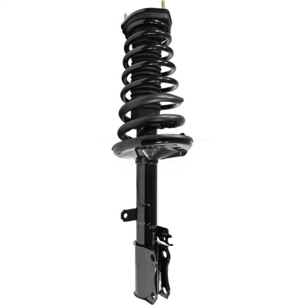 Suspension Strut Coil Spring Assembly