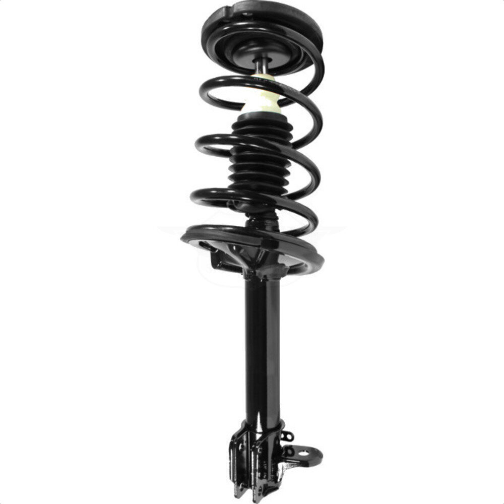 Suspension Strut Coil Spring Assembly