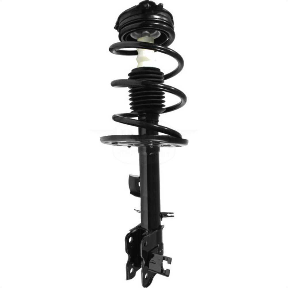 Suspension Strut Coil Spring Assembly