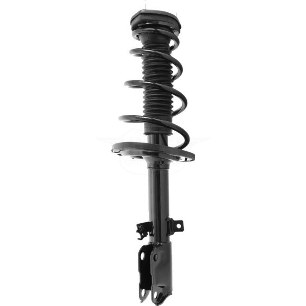Suspension Strut Coil Spring Assembly