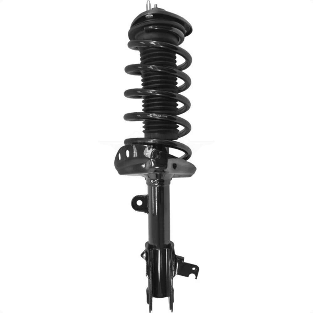 Suspension Strut Coil Spring Assembly