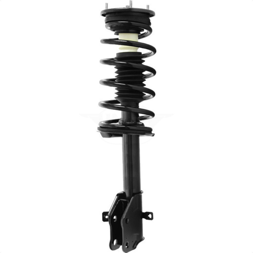 Suspension Strut Coil Spring Assembly