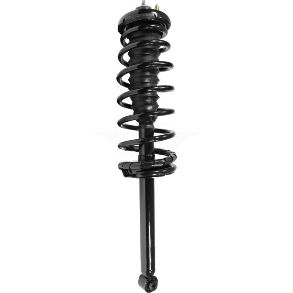 Suspension Strut Coil Spring Assembly