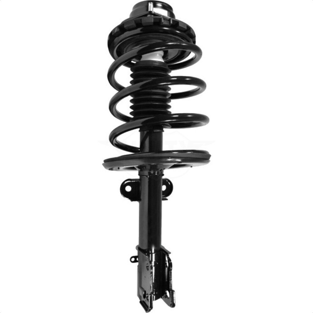 Suspension Strut Coil Spring Assembly