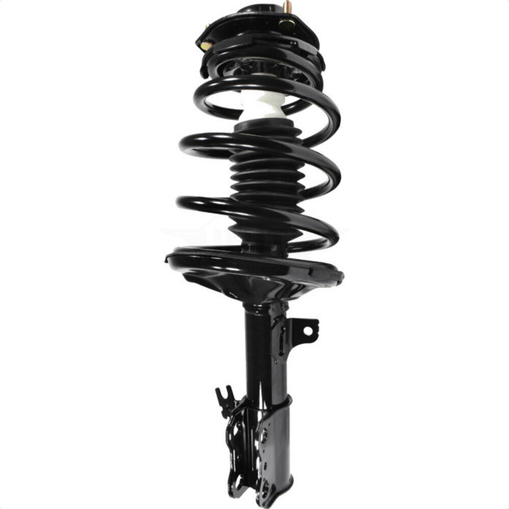 Suspension Strut Coil Spring Assembly