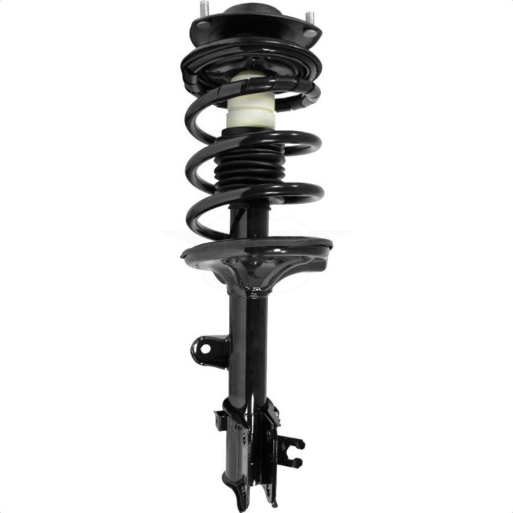 Suspension Strut Coil Spring Assembly