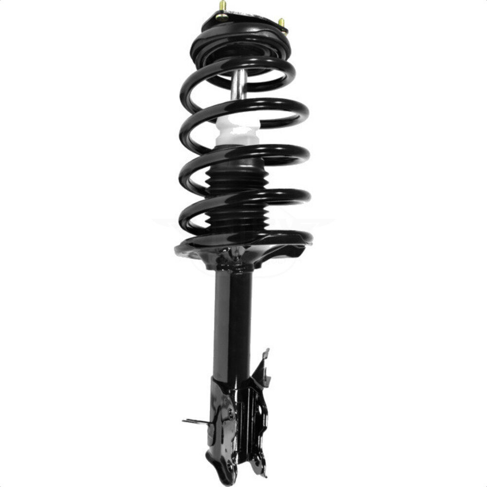 Suspension Strut Coil Spring Assembly