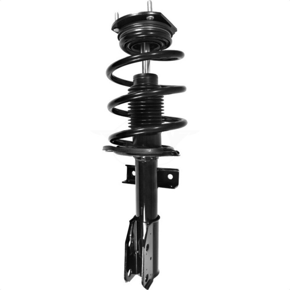 Suspension Strut Coil Spring Assembly