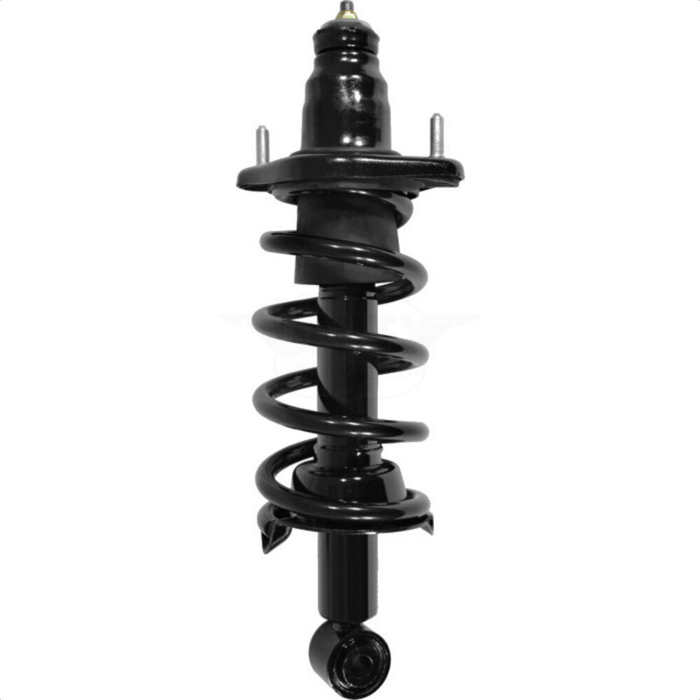 Suspension Strut Coil Spring Assembly