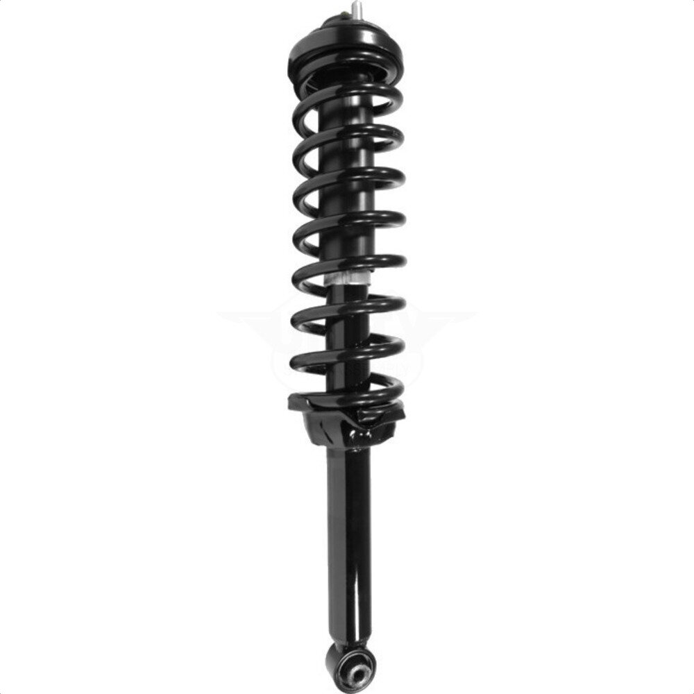 Suspension Strut Coil Spring Assembly