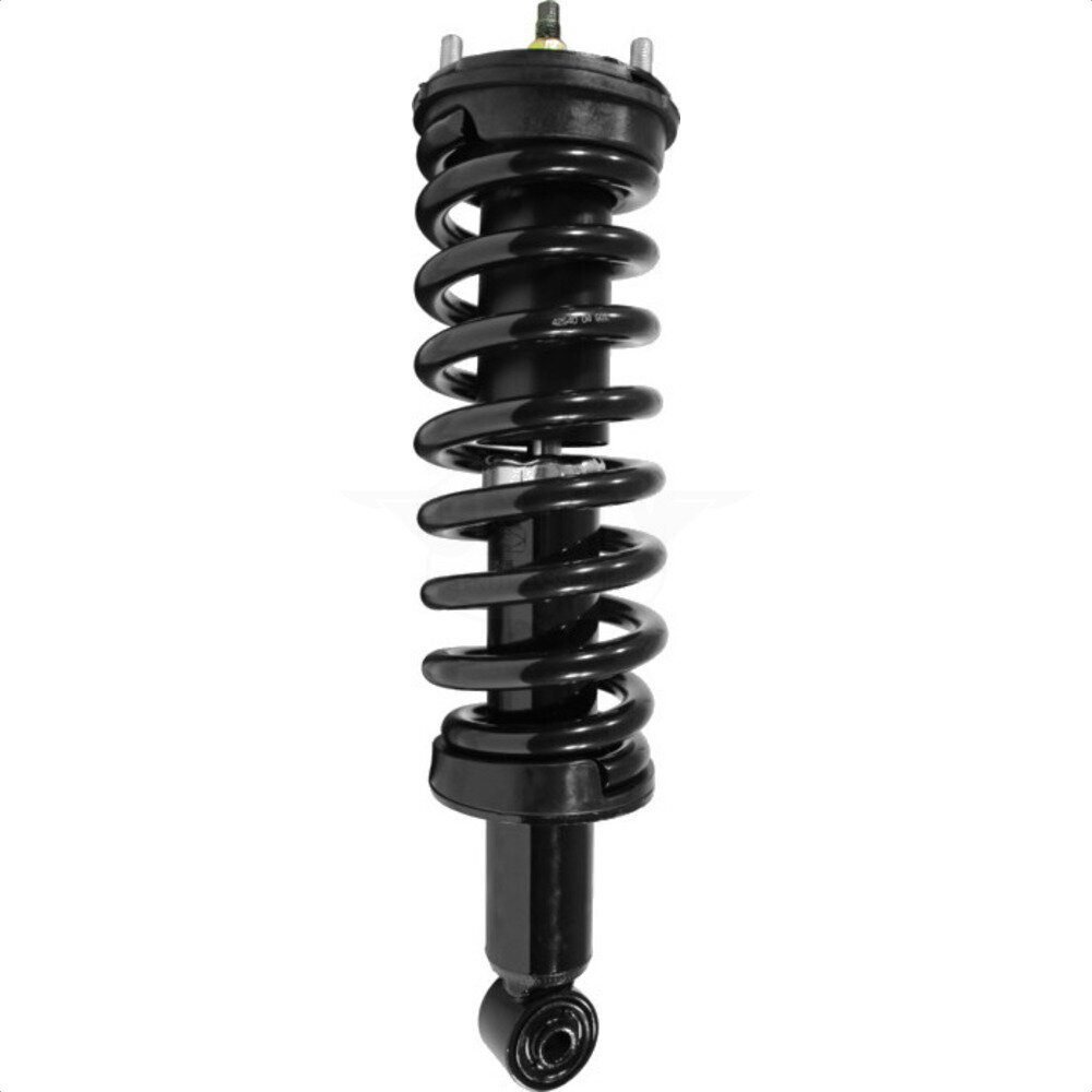 Suspension Strut Coil Spring Assembly
