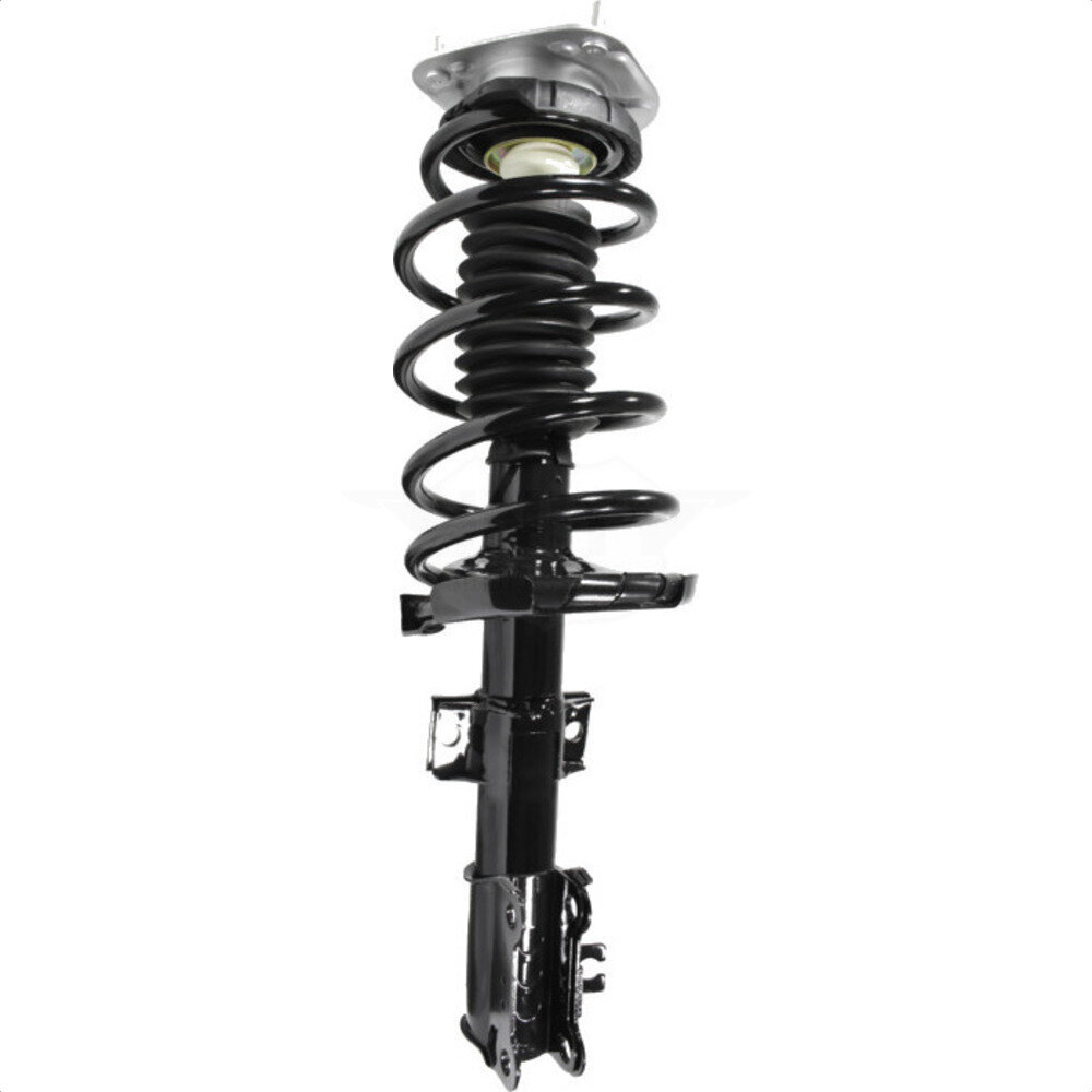 Suspension Strut Coil Spring Assembly